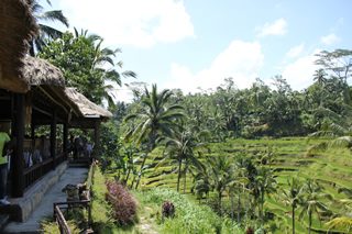 テラス・パディ・カフェ