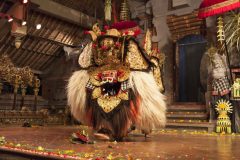 ［オプショナルツアー］バロンダンス＆キンタマーニ高原観光