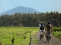 レンタル自転車でウブド散策も人気