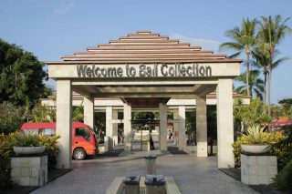 バリコレクション