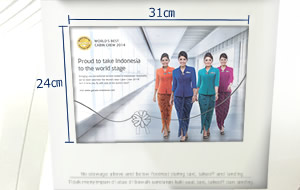 ビジネスクラスのモニター（一例）