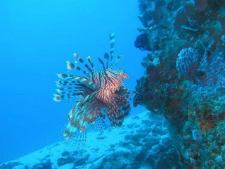 パダンバイの海（イメージ）