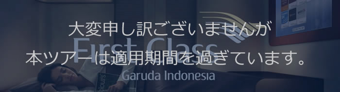 【日本・インドネシア国交樹立60周年記念】成田発ファーストクラス・アップグレードキャンペーン