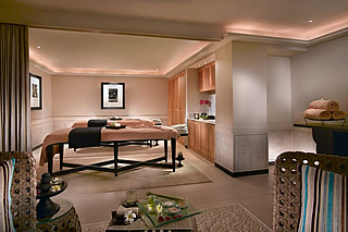 ロックスパ（イメージ）