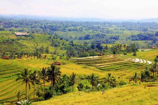 世界文化遺産ジャティルウィと夕日の名所タナロット寺院観光
