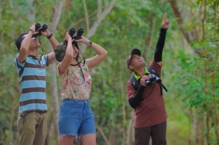 バードウォッチング／ザ・ムンジャンガン