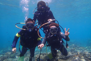 ダイビング・パダインバイ(イメージ)