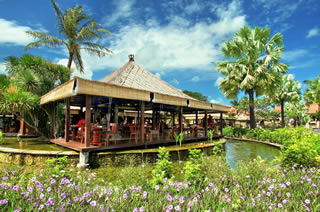 パディレストラン