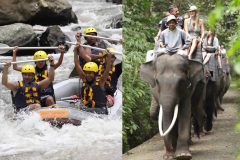 ［オプショナルツアー］ラフティングとエレファントサファリライド