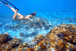 シュノーケリング(イメージ)