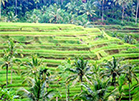 c02