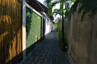 外観（ヴィラは一直線に並んでいます。移動はバギーで）／ディシニ ラグジュアリー スパ ヴィラズ