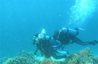 ダイビング（イメージ）