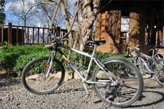 自転車の貸し出しは無料（ガイド付きの有料ツアーあり）／ザ・ムンジャンガン