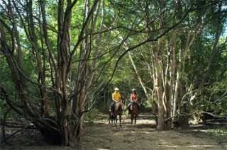 憧れのホースライディングツアー（有料）もご用意／ザ・ムンジャンガン