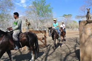 ホースライディング：ベテランガイド付きで1～4時間コースがあります／ザ・ムンジャンガン