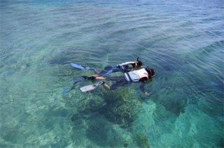 透明度抜群の海はシュノーケリング天国／ザ・ムンジャンガン